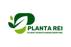 PLANTA REI